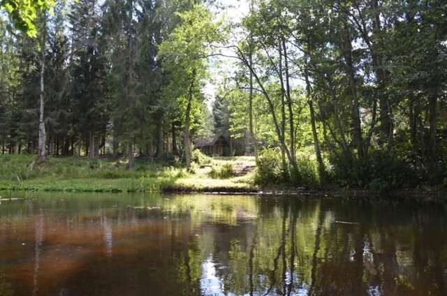 Лоджи Little Forest House near the river Jägala Voose-22
